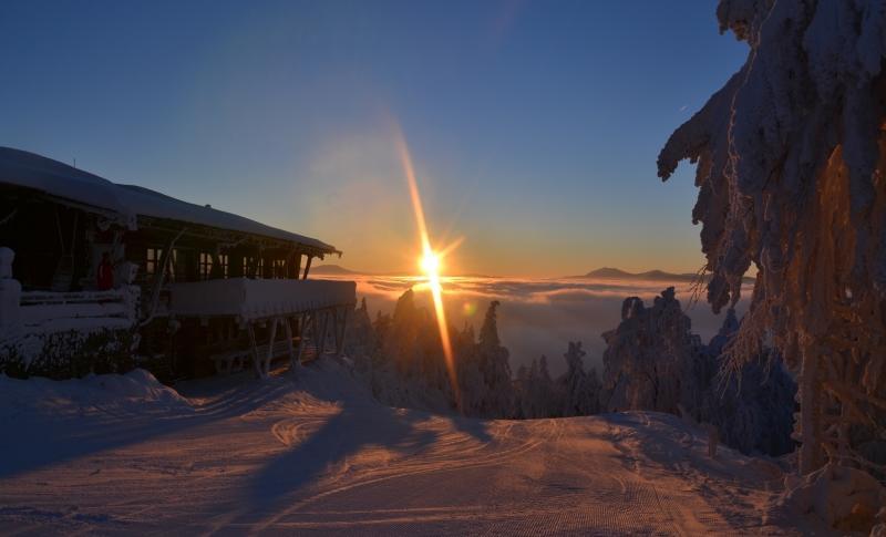 Genusshotel Hohenbogen Нойкирхен-байм-Хайлиген-Блут Экстерьер фото