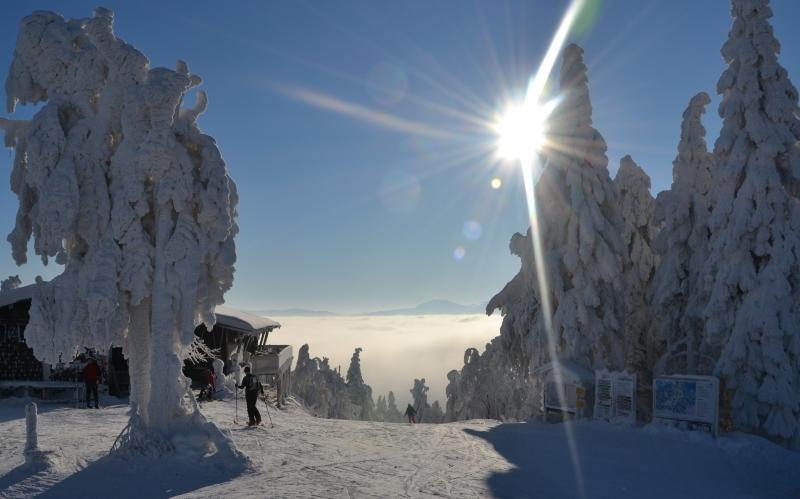 Genusshotel Hohenbogen Нойкирхен-байм-Хайлиген-Блут Экстерьер фото